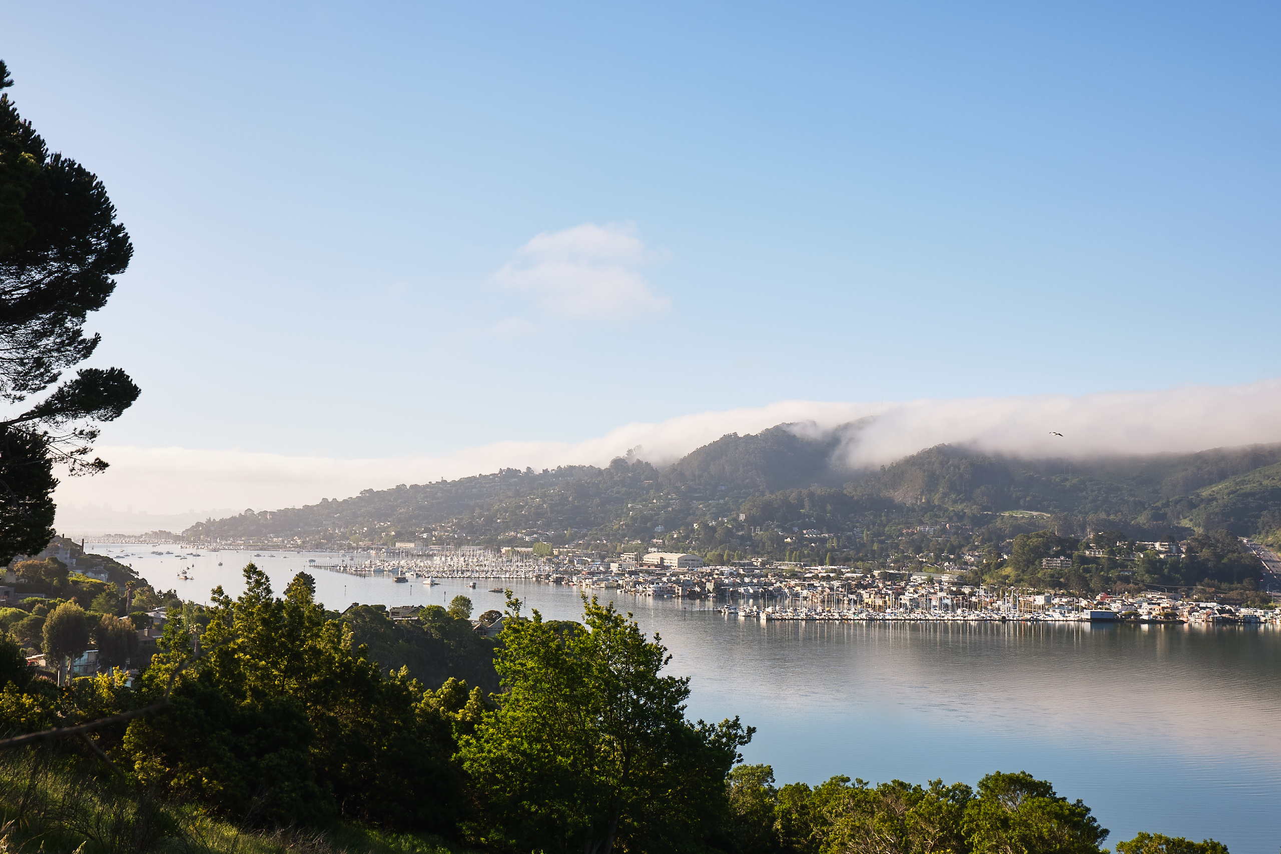 Feature photo for 70 Stanford Way, Sausalito